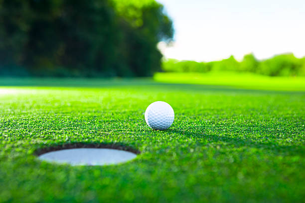 istockphoto-505399502-612x612.jpg